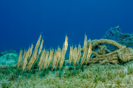 gallery/1004_makadibay/_MG_0042.jpg