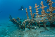 gallery/1004_makadibay/_MG_8910.jpg