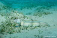 gallery/1004_makadibay/_MG_9008.jpg