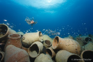 gallery/1004_makadibay/_MG_9028.jpg