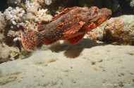 gallery/1004_makadibay/_MG_9038.jpg