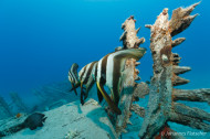 gallery/1004_makadibay/_MG_9070.jpg