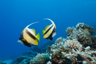 gallery/1004_makadibay/_MG_9104.jpg