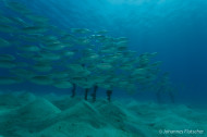 gallery/1004_makadibay/_MG_9117.jpg