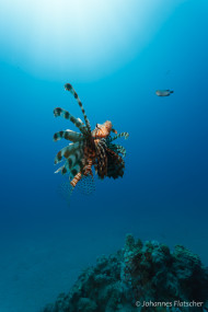 gallery/1004_makadibay/_MG_9135.jpg