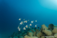 gallery/1004_makadibay/_MG_9209.jpg