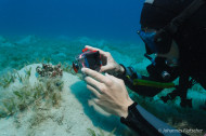 gallery/1004_makadibay/_MG_9396.jpg
