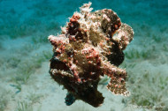 gallery/1004_makadibay/_MG_9436.jpg
