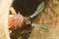 gallery/1004_makadibay/_MG_9486.jpg