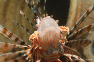 gallery/1004_makadibay/_MG_9489.jpg