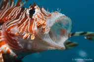 gallery/1004_makadibay/_MG_9499.jpg