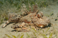 gallery/1004_makadibay/_MG_9564.jpg