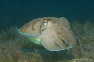 gallery/1004_makadibay/_MG_9573.jpg