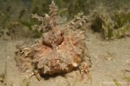 gallery/1004_makadibay/_MG_9587.jpg