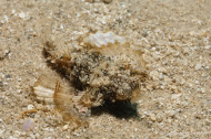gallery/1004_makadibay/_MG_9752.jpg