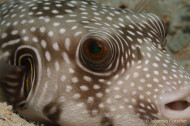 gallery/1004_makadibay/_MG_9829.jpg