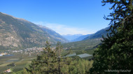 gallery/1110_latsch/latschertrailzauber/1110_331.jpg