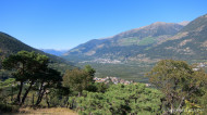 gallery/1110_latsch/latschertrailzauber/1110_332.jpg