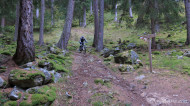 gallery/1110_latsch/marzoneralm/1110_581.jpg