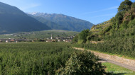 gallery/1110_latsch/montesol/1110_005.jpg
