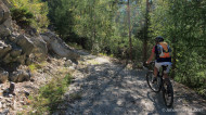 gallery/1110_latsch/toebrunn/1110_109.jpg