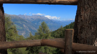 gallery/1110_latsch/toebrunn/1110_123.jpg
