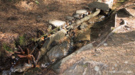 gallery/1110_latsch/toebrunn/1110_151.jpg