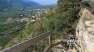 gallery/1110_latsch/vetzaner/1110_365.jpg