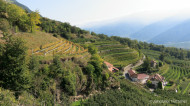 gallery/1110_latsch/vetzaner/1110_380.jpg
