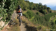 gallery/1110_latsch/vetzaner/1110_383.jpg