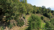 gallery/1110_latsch/vetzaner/1110_386.jpg