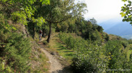 gallery/1110_latsch/vetzaner/1110_389.jpg