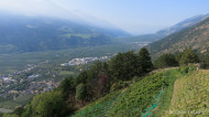 gallery/1110_latsch/vetzaner/1110_397.jpg