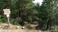 gallery/1110_latsch/vetzaner/1110_418.jpg