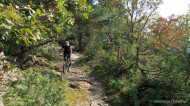 gallery/1110_latsch/vetzaner/1110_445.jpg