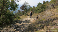 gallery/1110_latsch/vetzaner/1110_446.jpg