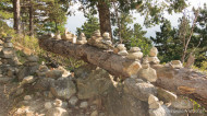 gallery/1110_latsch/vetzaner/1110_465.jpg