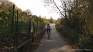 gallery/1111_kahlenberg//1111_003.jpg