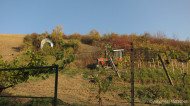gallery/1111_kahlenberg//1111_004.jpg