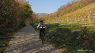 gallery/1111_kahlenberg//1111_006.jpg