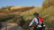 gallery/1111_kahlenberg//1111_010.jpg