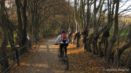 gallery/1111_kahlenberg//1111_012.jpg