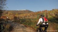 gallery/1111_kahlenberg//1111_013.jpg