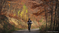 gallery/1111_kahlenberg//1111_015.jpg