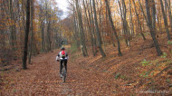 gallery/1111_kahlenberg//1111_019.jpg