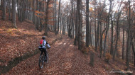 gallery/1111_kahlenberg//1111_027.jpg