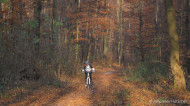 gallery/1111_kahlenberg//1111_030.jpg